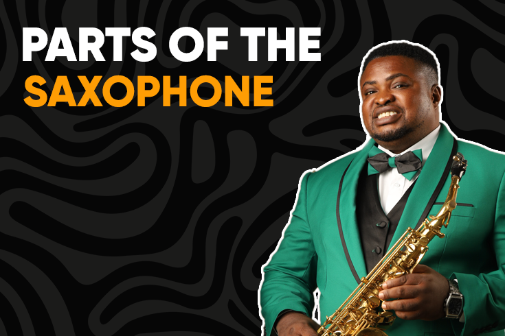 Parts Of The Saxophone (Free - Bonus Lecture)